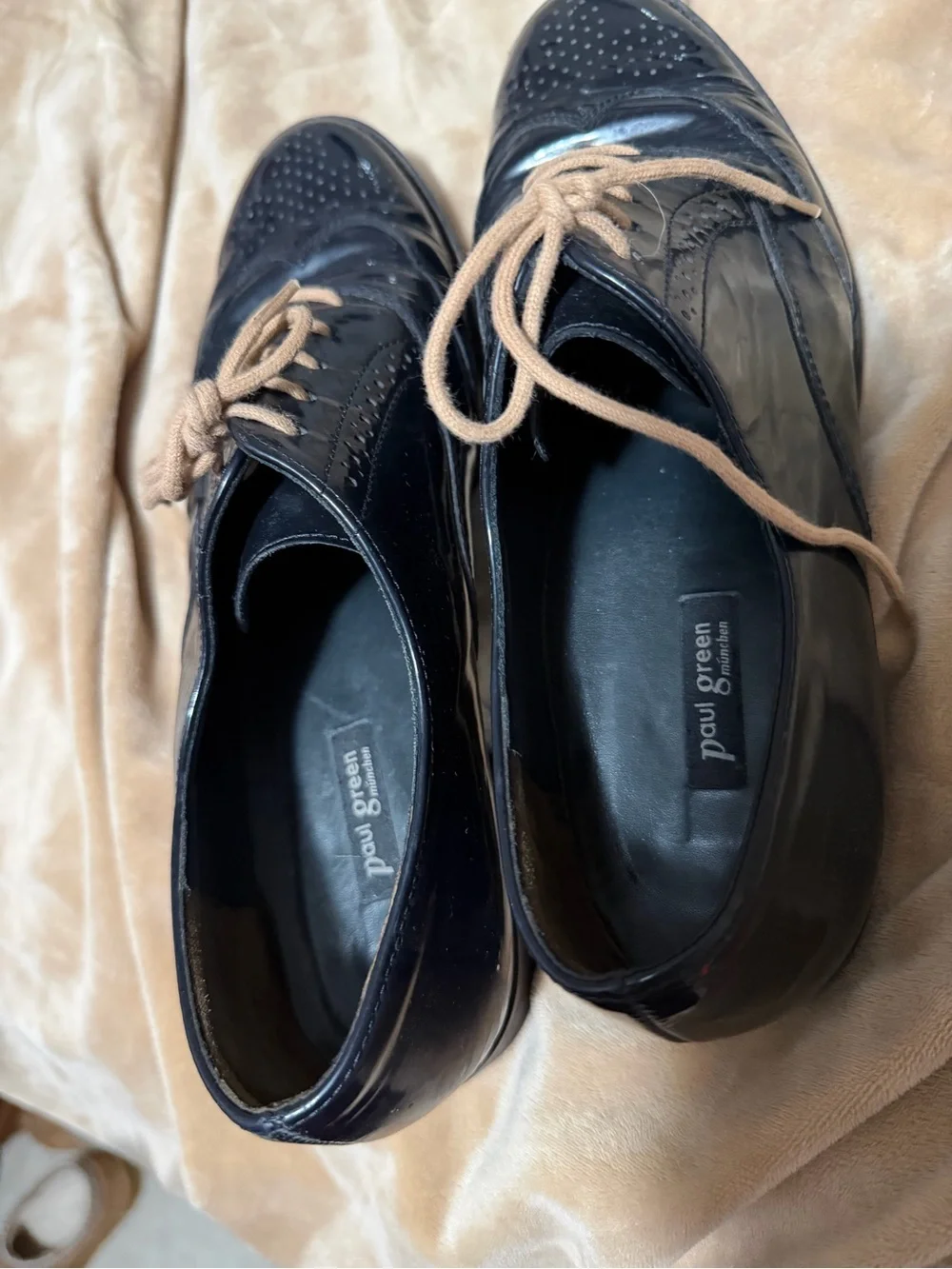 Paul Green Navy Leather Wingtip Oxfords with Tan Laces 4.5